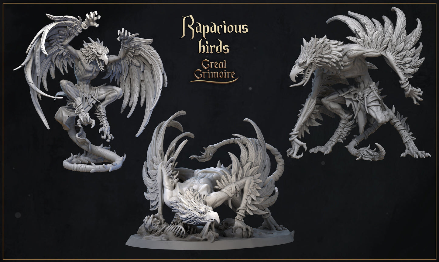 Rapacious Birds