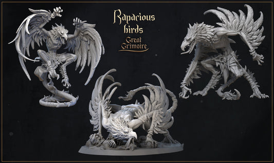 Rapacious Birds
