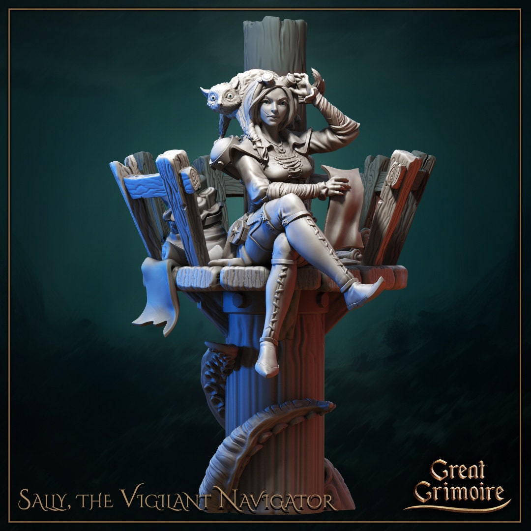 Sally, the Vigilant Navigator