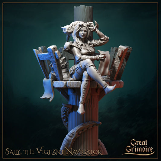 Sally, the Vigilant Navigator