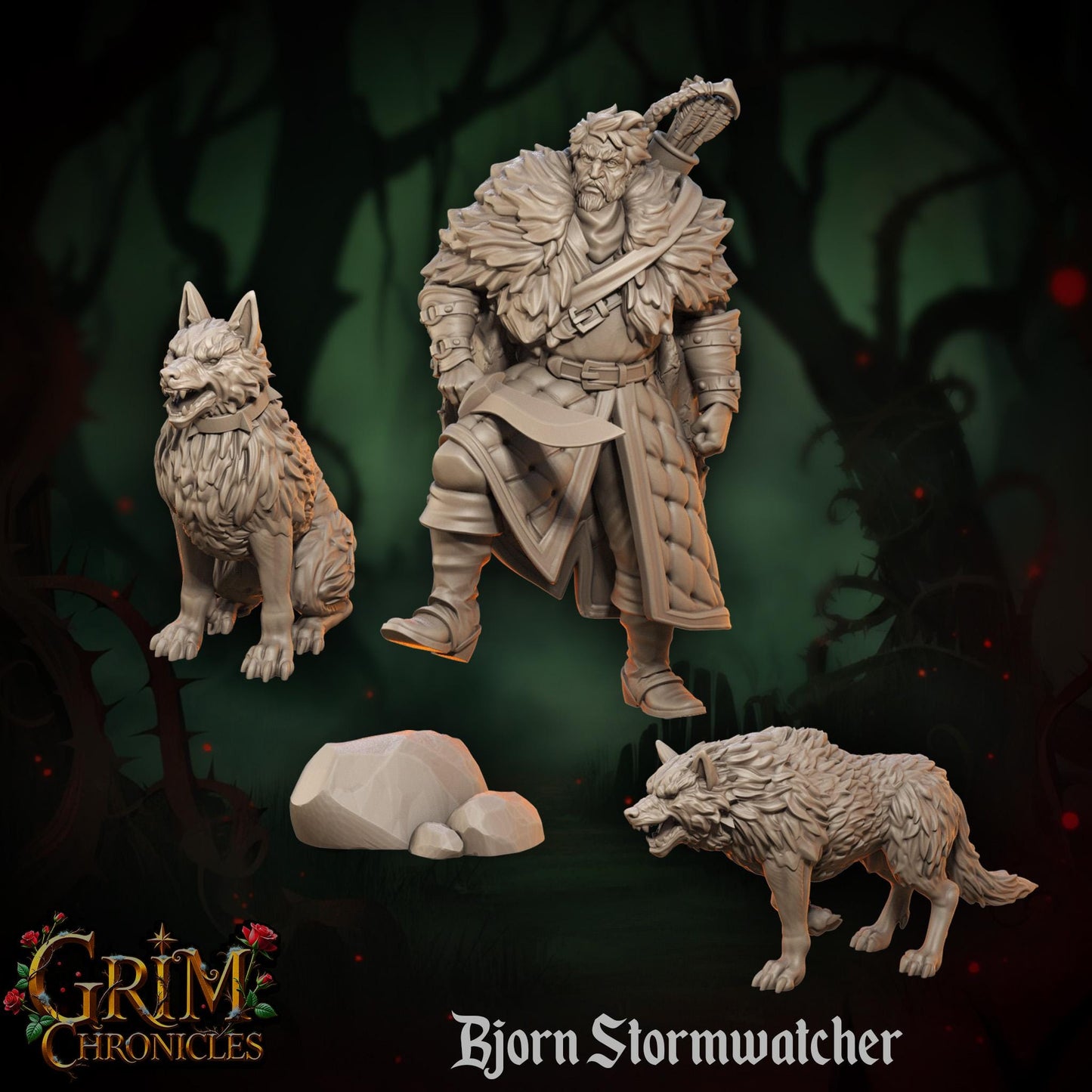 Bjorn Stormwatcher