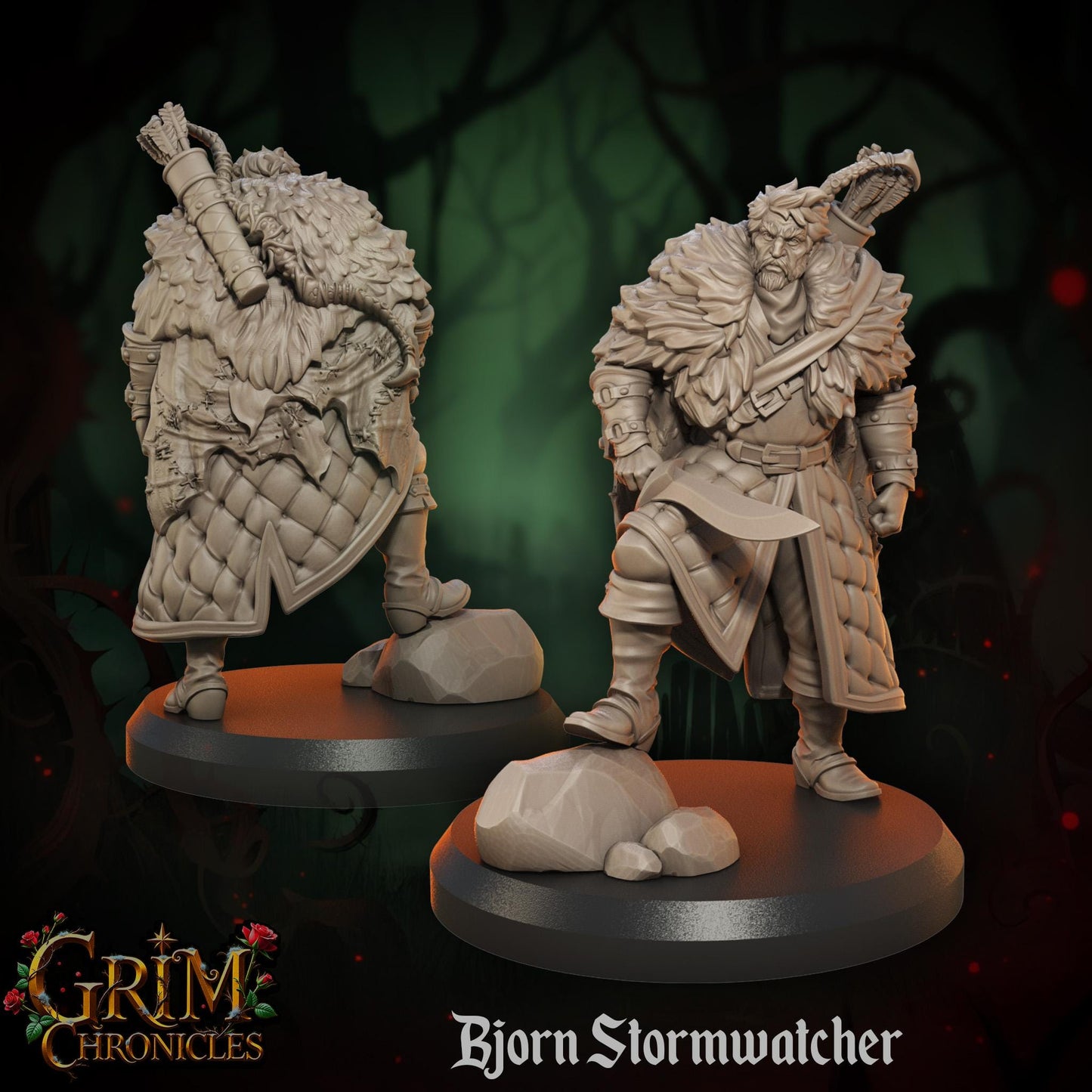 Bjorn Stormwatcher