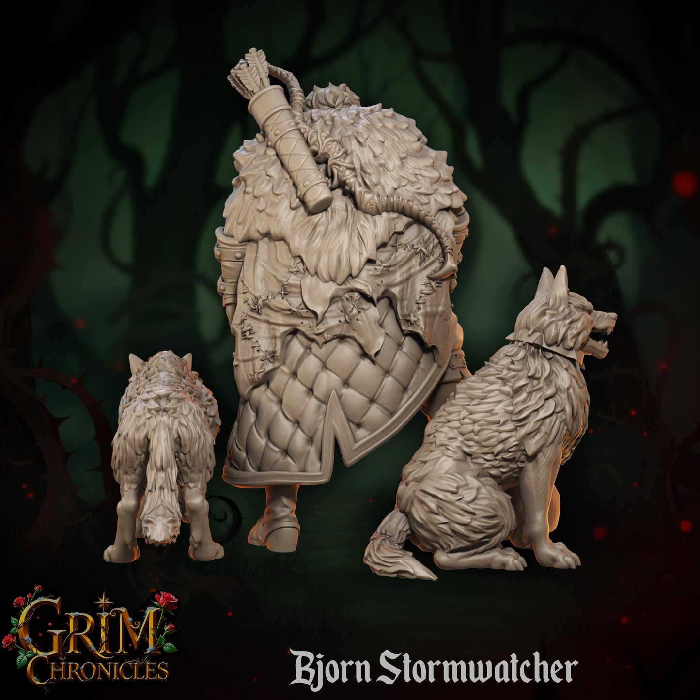 Bjorn Stormwatcher