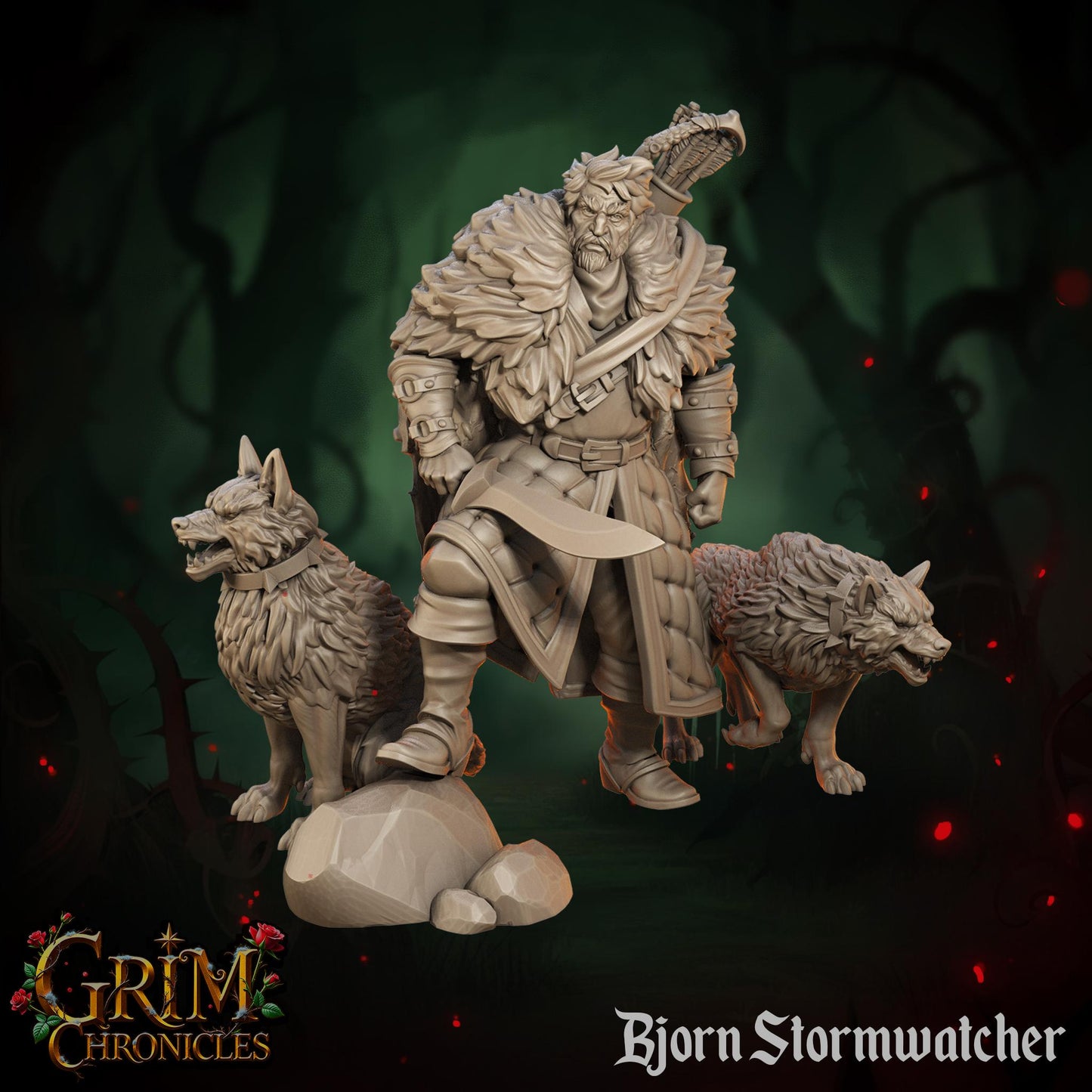 Bjorn Stormwatcher