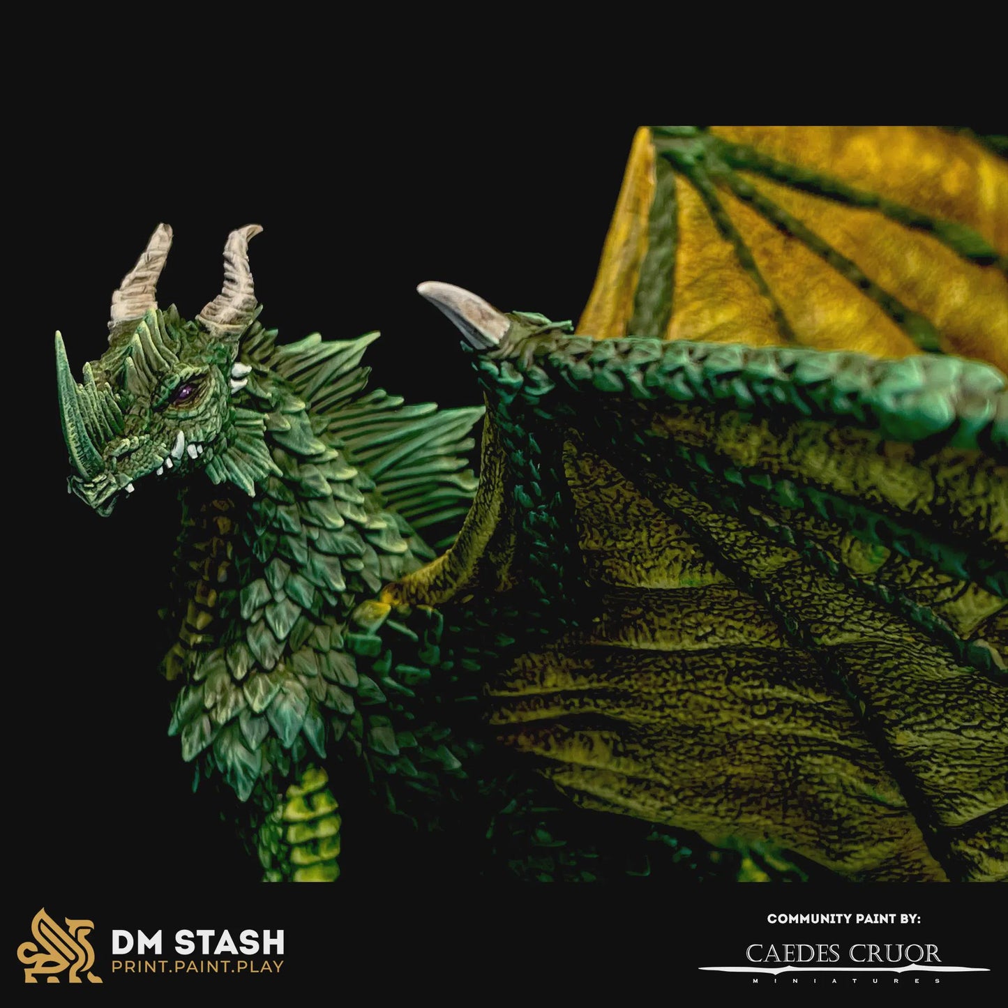 Midorius the Broken – Juvenile Green Dragon