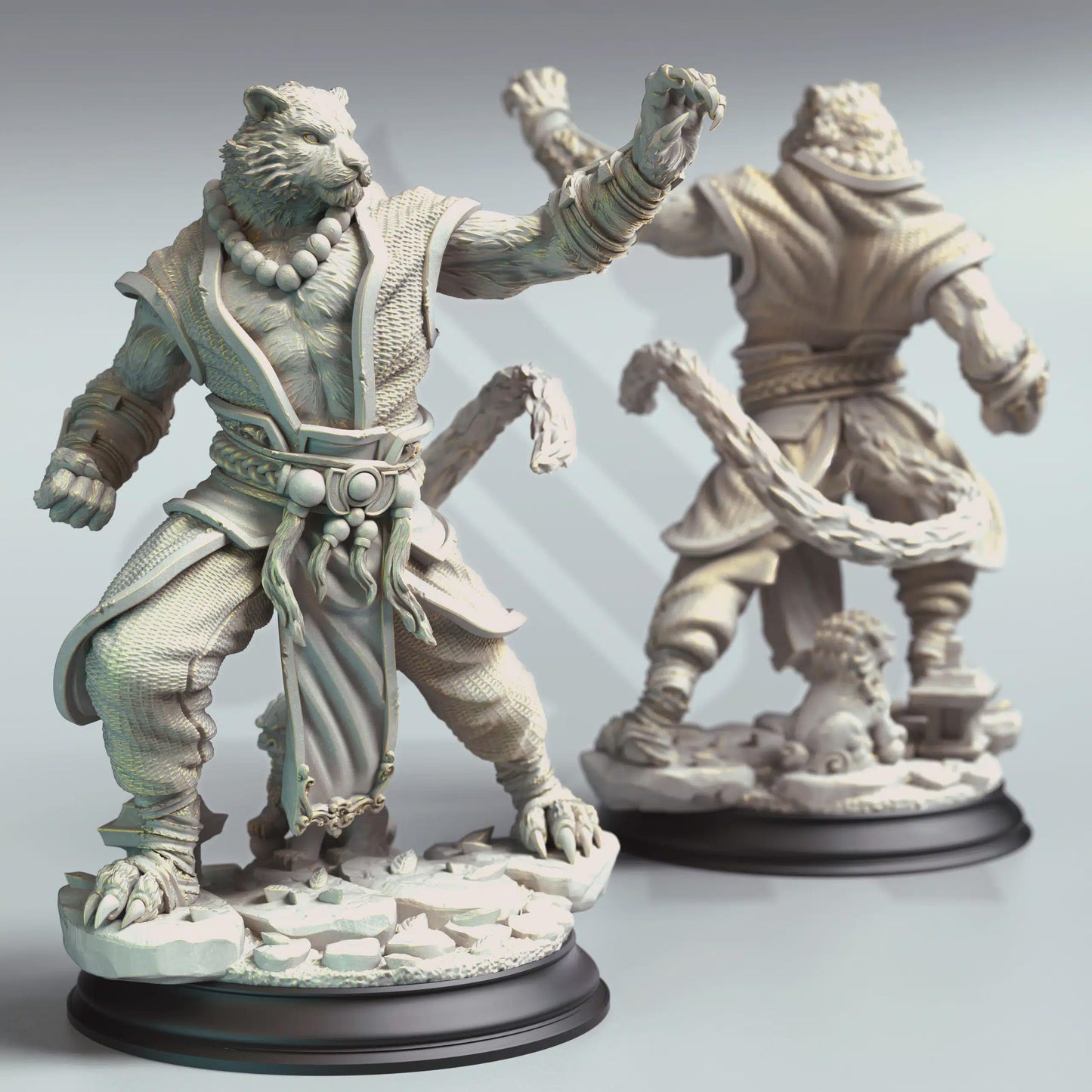 Raiko – Tiger Monk